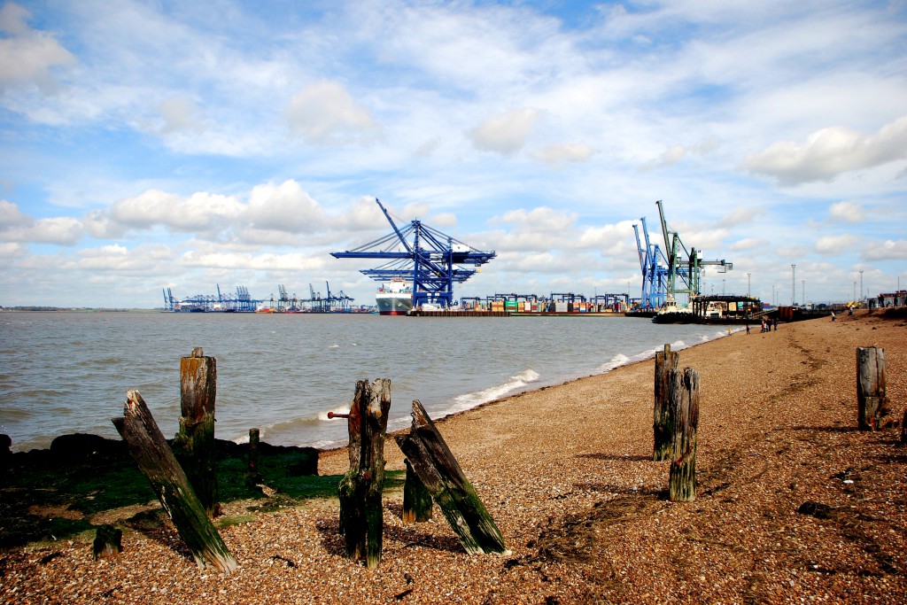 Cosco Excellence DSC_3897_hf.jpg