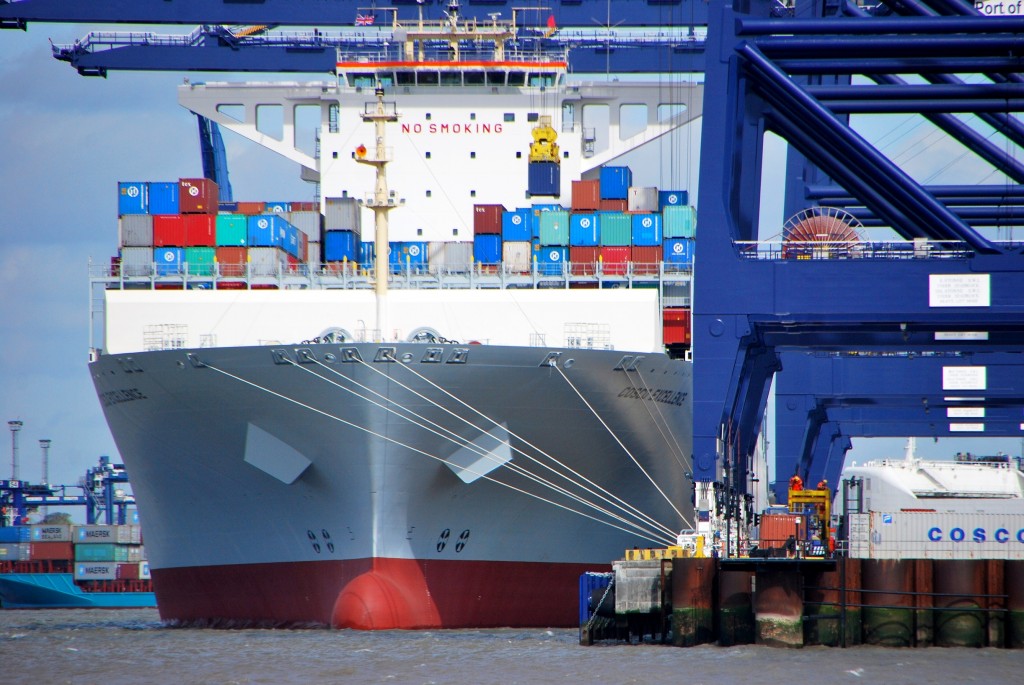 Cosco Excellence DSC_3898_hf.jpg