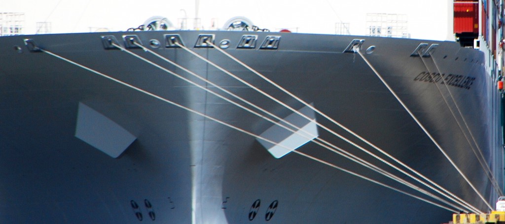 Cosco Excellence DSC_3903_hf.jpg