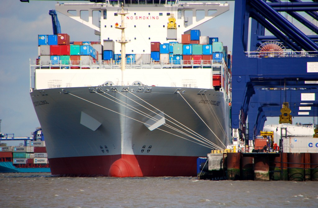 Cosco Excellence DSC_3917_hf.jpg