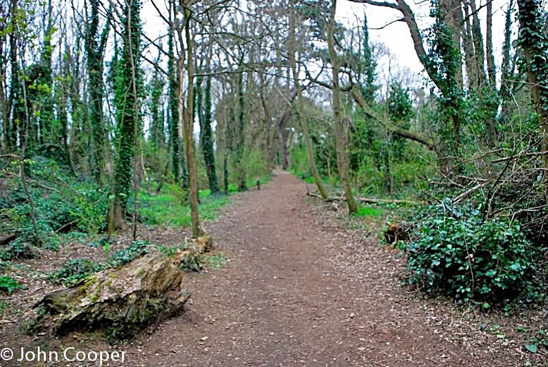 a Portal Woods MHDSC_3092_hf.jpg