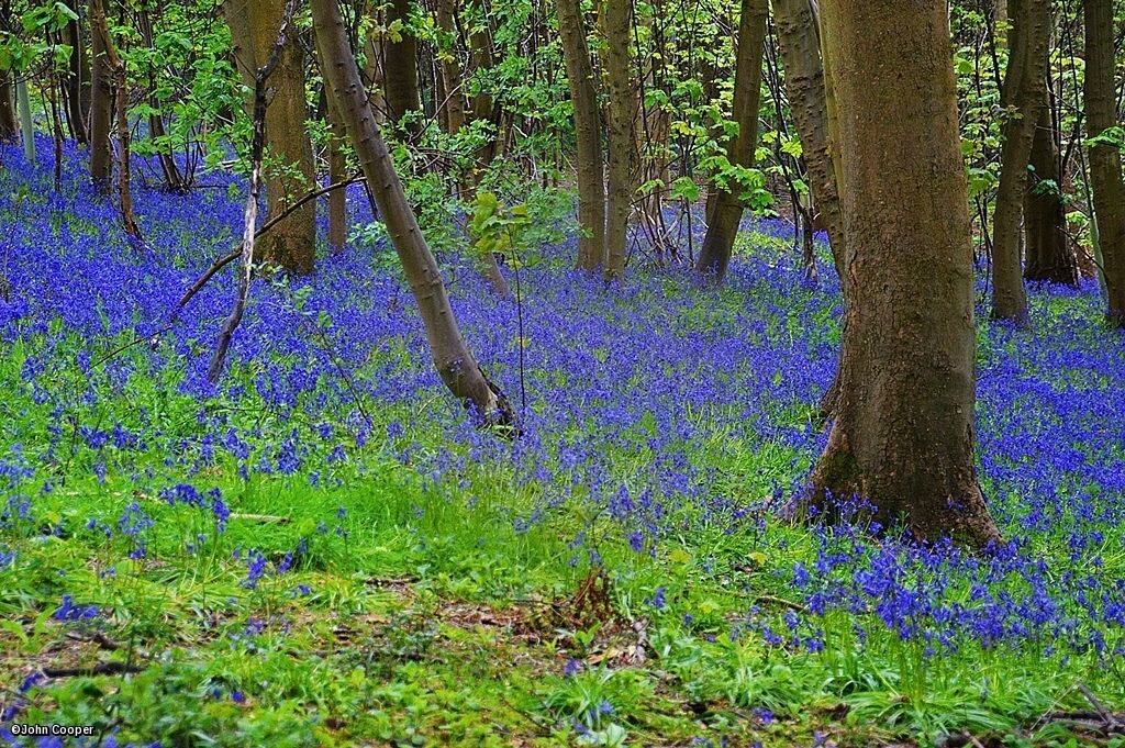imageedit_7871_7907320944.jpg