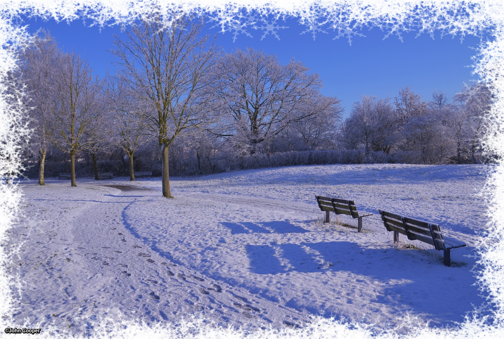 imageedit_8009_3219980464.png