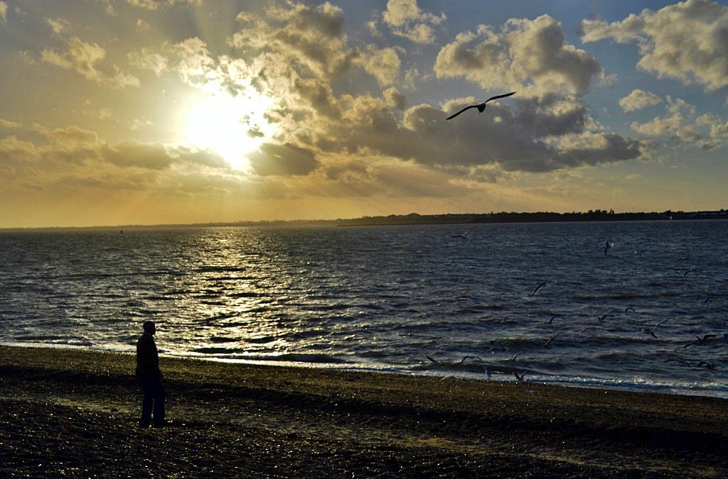 FXT sunset DSC_6959.jpg